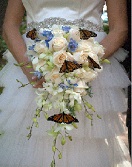 School Butterfly Release
