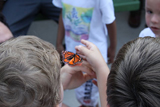 Hands Full of Butterflies